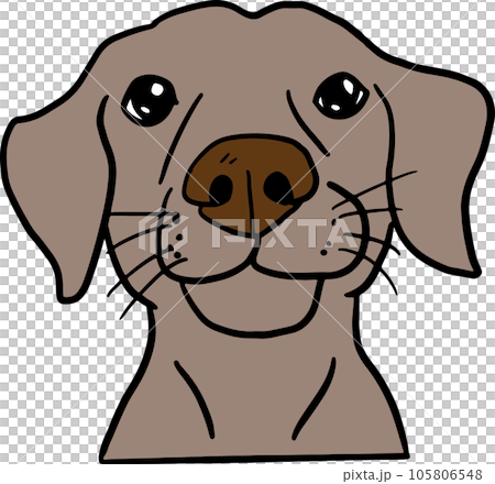 The dog face png image for pet or animal concept The dog face png image for pet or animal concept 105806548
