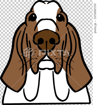 The dog face png image for pet or animal concept The dog face png image for pet or animal concept 105806550
