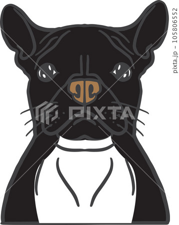 The dog face png image for pet or animal concept 105806552