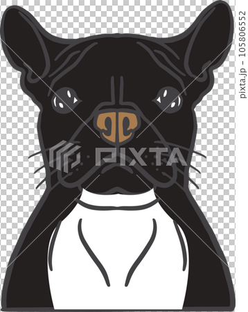 The dog face png image for pet or animal concept The dog face png image for pet or animal concept 105806552