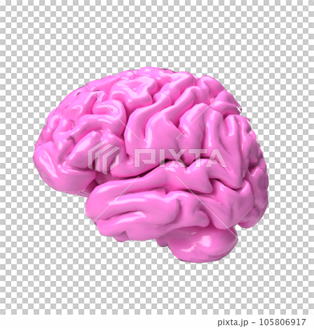 The pink brain png image for sci or medical concept 3d rendering 105806917