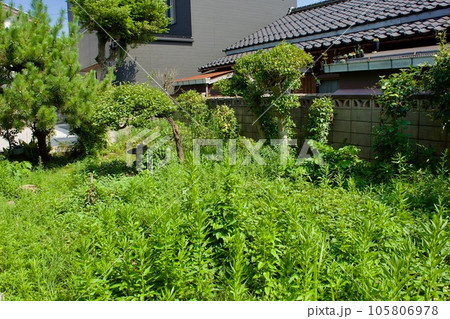 空き家のため手入れされない庭 空き家のため手入れされない庭 105806978