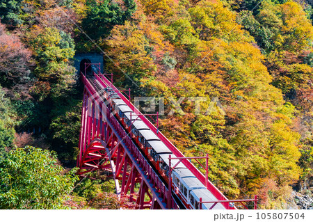 秋の黒部峡谷:新山彦橋を走るトロッコ電車 秋の黒部峡谷:新山彦橋を走るトロッコ電車 105807504
