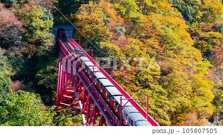 秋の黒部峡谷:新山彦橋を走るトロッコ電車 秋の黒部峡谷:新山彦橋を走るトロッコ電車 105807505