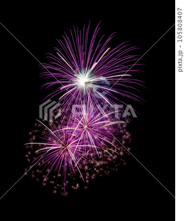 Pink fireworks on black background for celebration and anniversary . Pink fireworks on black background for celebration and anniversary . 105808407