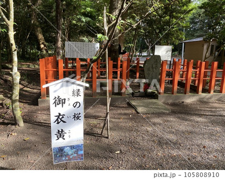 日本の神社　神宮　お寺 105808910