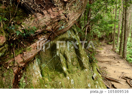 鼻欠け地蔵(大日越え)　【和歌山県田辺市本宮町】 105809516