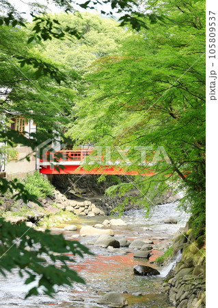 静岡県　修善寺温泉 105809537