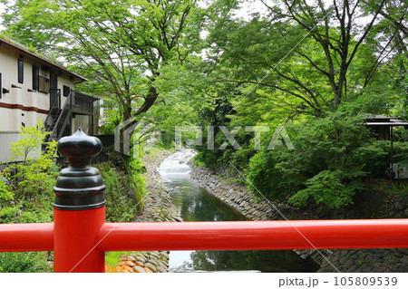 静岡県　修善寺温泉 105809539