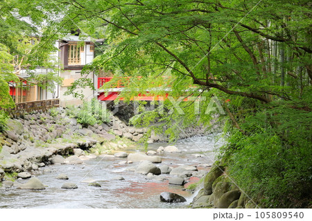 静岡県　修善寺温泉 105809540