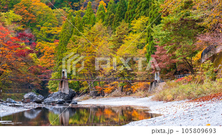 湯瀬渓谷（秋） 105809693