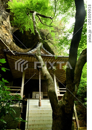 岩屋観音　【和歌山県田辺市】 105809918