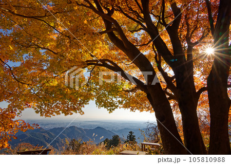 高尾山稜・景信山の紅葉と関東平野の眺め 高尾山稜・景信山の紅葉と関東平野の眺め 105810988