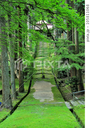 金勝山金勝寺(参道)　【滋賀県栗東市】 105811068