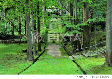 金勝山金勝寺(参道)　【滋賀県栗東市】 105811069
