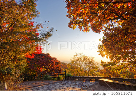早朝の高尾山山頂の紅葉 早朝の高尾山山頂の紅葉 105811073