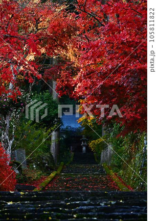 秋の常勝寺 105811822