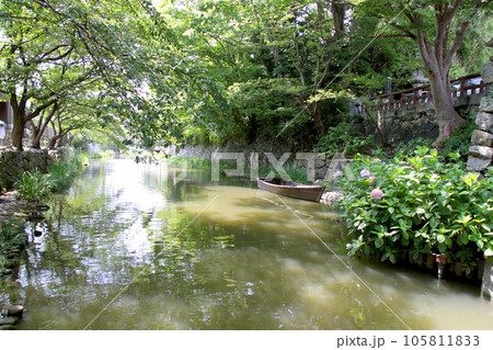 近江八幡の堀 105811833