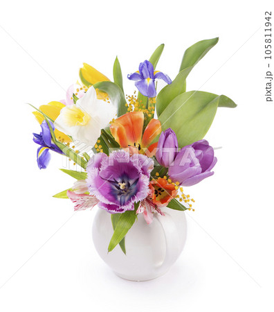 spring flowers, daffodils, tulips, hyacinths, irises and mimosa isolated on a white background 105811942