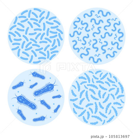 Bacterial flora in circle set. Different bacteria, pathogenic microorganisms and normal bacterial flora of humans. Vector illustration. Bacterial flora in circle set. Different bacteria, pathogenic microorganisms and normal bacterial flora of humans. Vector illustration. 105813697
