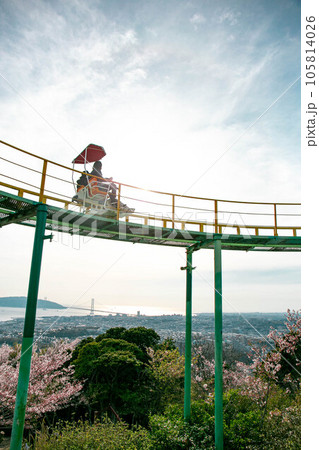 桜が咲く須磨浦山上遊園 105814026