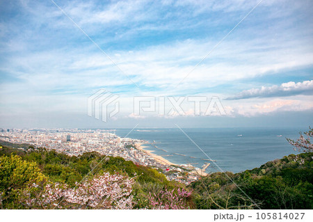 桜が咲く須磨浦山上遊園 桜が咲く須磨浦山上遊園 105814027