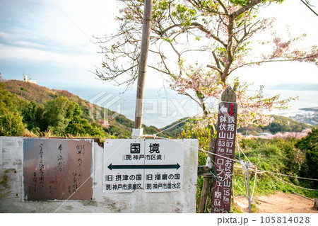 桜が咲く須磨浦山上遊園 105814028