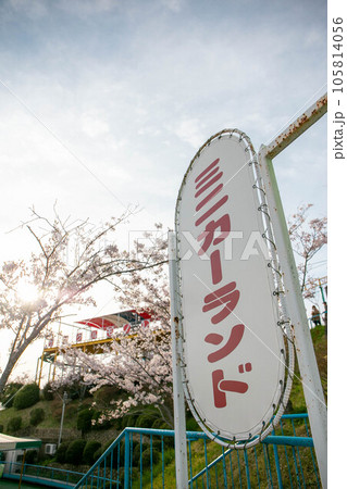 桜が咲く須磨浦山上遊園 105814056
