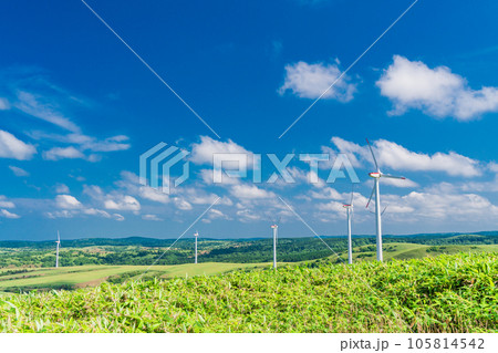 （北海道稚内）夏の青い空  ユーラス宗谷岬ウインドファーム 105814542