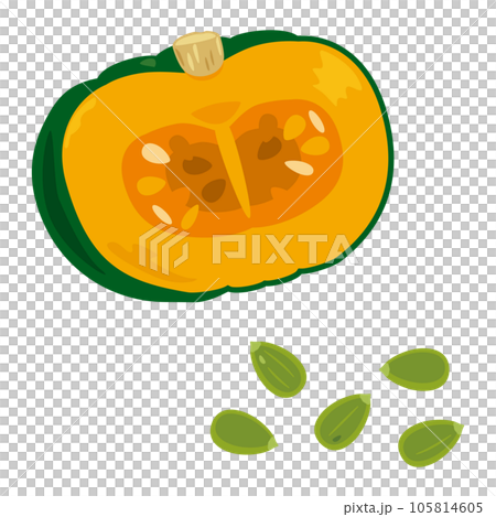 南瓜和南瓜籽 105814605