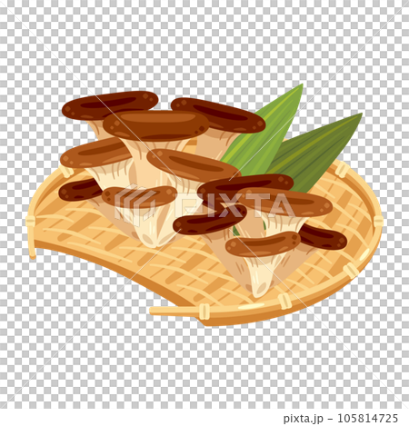 Oyster mushrooms piled up in a bamboo colander 105814725