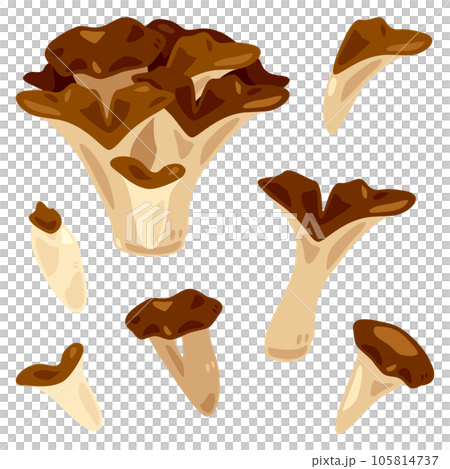 Dancers Dancers 105814737