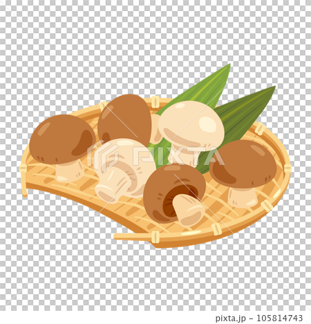 Mushrooms served in a bamboo colander Mushrooms served in a bamboo colander 105814743