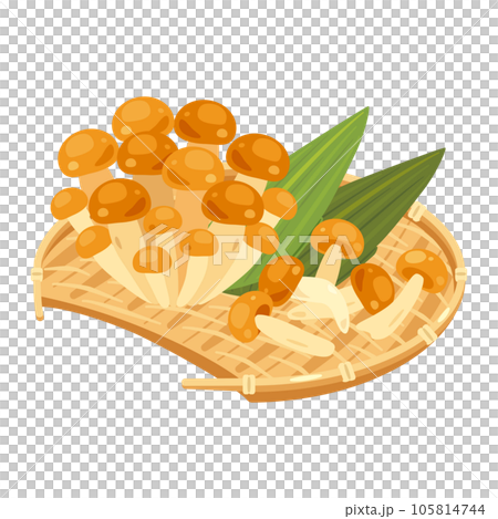 滑子菇盛在竹漏勺中 滑子菇盛在竹漏勺中 105814744