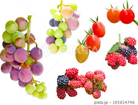 切り抜き素材セットー収穫物2 切り抜き素材セットー収穫物2 105814748