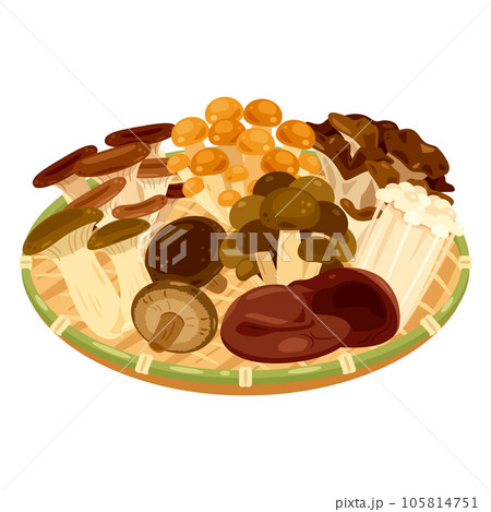 竹ザルに盛られたキノコ 105814751