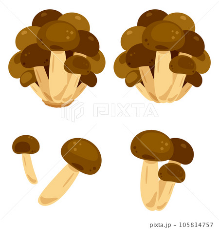 しめじ 105814757