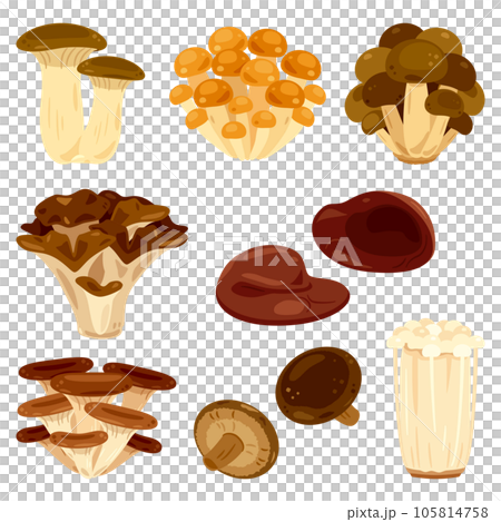 Mushroom set 105814758