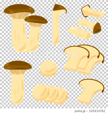 king oyster mushroom 105814762