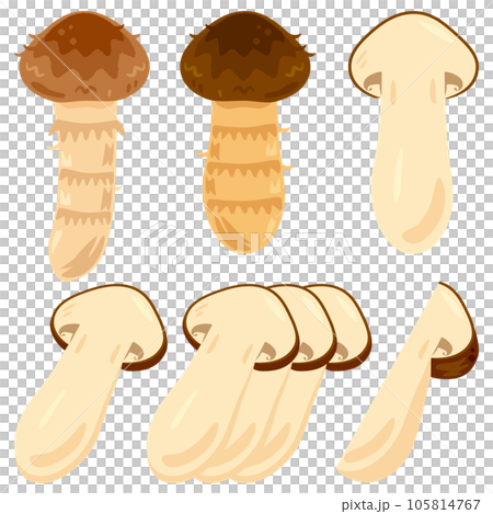 松茸 松茸 105814767