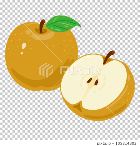 梨斷面組 105814802