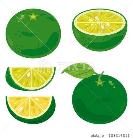 すだちセット 105814811