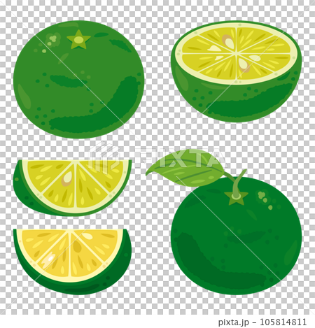 すだちセット 105814811