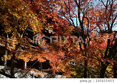播州清水寺の紅葉 105815453