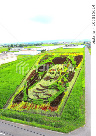 田舎館村田んぼアート2023 105815614
