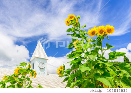 阿蘇白川駅周辺風景（あそしらかわえき）「南阿蘇鉄道　全線開通・運航再開」 105815633