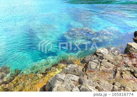 袰月海岸高野埼の岩場と海 105816774