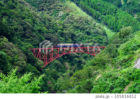 新緑の第一白川橋梁とトロッコ列車風景「全線開通・運航再開」(阿蘇長陽大橋周辺から撮影) 新緑の第一白川橋梁とトロッコ列車風景「全線開通・運航再開」(阿蘇長陽大橋周辺から撮影) 105816812