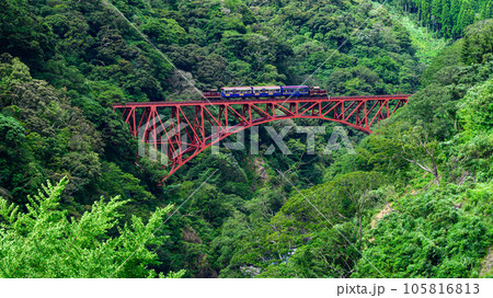 新緑の第一白川橋梁とトロッコ列車風景「全線開通・運航再開」(阿蘇長陽大橋周辺から撮影) 105816813