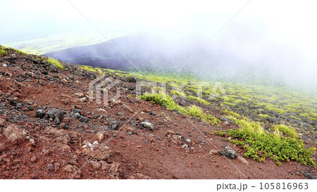 三原山トレッキングコースの赤茶けた溶岩跡 三原山トレッキングコースの赤茶けた溶岩跡 105816963